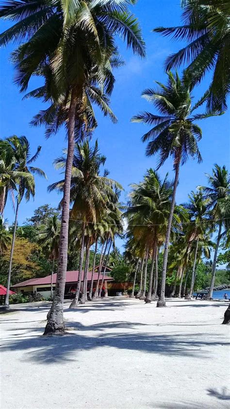dalaguete map|Dalaguete Beach Park: Summer Getaway to Southern .